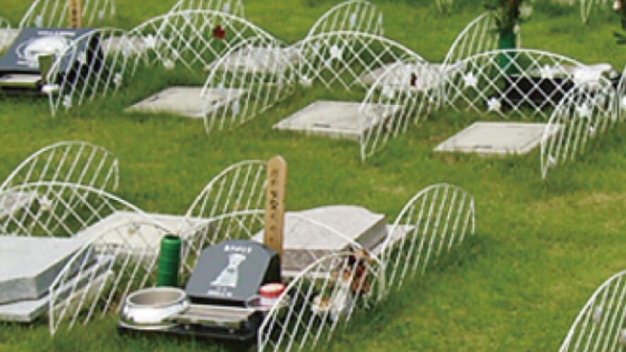 アートペットクラブ