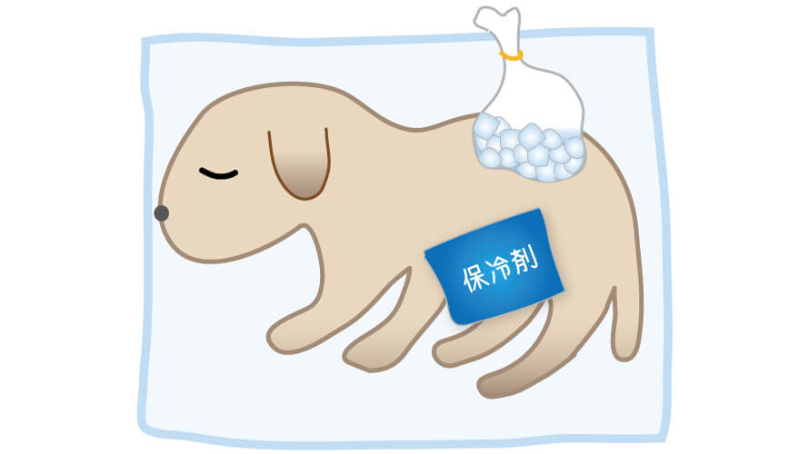 Step 02 お身体を冷やす